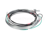 HTR15174 Trane Belt 480V 70W 62" Leads Htr