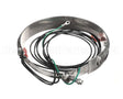 HTR15184 Trane Belt 575V 70/75W 6"-7"Dia Htr