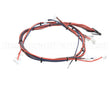I1-9739 Turbochef Wire Harness, Line Voltage, Re