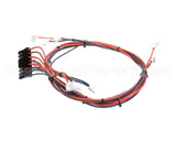 I1-9739 Turbochef Wire Harness, Line Voltage, Re