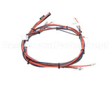 I1-9739 Turbochef Wire Harness, Line Voltage, Re