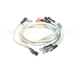 I3-9385-1 Turbochef Assembly, High Voltage Wires, 60 H