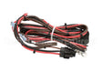 I3-9661 Turbochef Harness, I3, Line Voltage, Inp