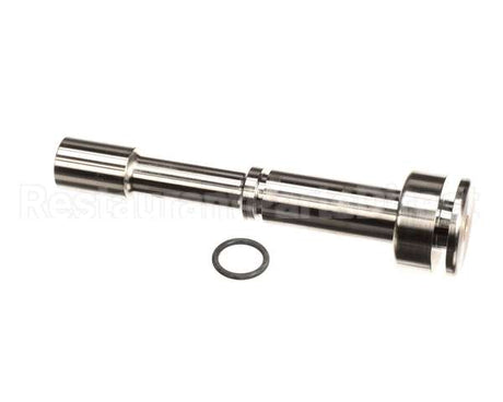 IC118-013381 Carpigiani Assembly Plunger Dispense