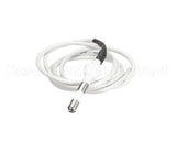 IC155146180 Carpigiani Rod-Level Electronic Control A