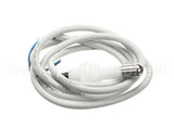 IC155146250 Carpigiani Rodlevel Electronic Control A