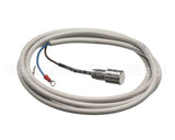 IC155146320 Carpigiani Rodlevel Electronic Control A