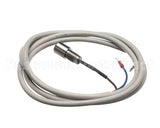 IC155146320 Carpigiani Rodlevel Electronic Control A