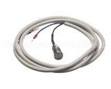 IC155146320 Carpigiani Rodlevel Electronic Control A