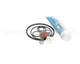 IC193-010082 Carpigiani Tune Up Kit