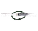 IC193-022960 Carpigiani Kit-Replacement Ptc Probe W/Compound