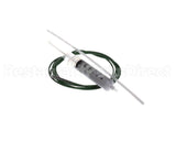 IC193-022960 Carpigiani Kit-Replacement Ptc Probe W/Compound