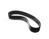 IC531300101 Carpigiani Belt Poly V 914 J36 22N