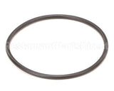 IC541000183 Carpigiani Oring 262 5365 Nb 4550 321