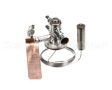 IC581101008 Carpigiani Valve-Thermos.tube Mop30 Orif.