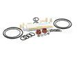 ICA5555750 Carpigiani Tune Up Kit Minor Uc1131P