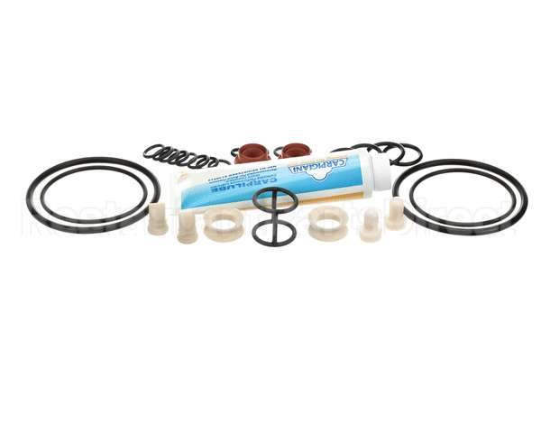ICA5555750 Carpigiani Tune Up Kit Minor Uc1131P