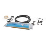 ICA5555830 Carpigiani Tune Up Kit-Uc113G/Gb/Gr