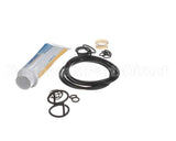 ICA5555830 Carpigiani Tune Up Kit-Uc113G/Gb/Gr