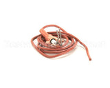 IGN00114 Trane Ignitor, Electrode