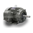 JPN0306 Teco Close Coupled Pump Motor