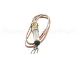 K00800 Globe Thermopile