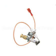 K9-EZG-995 Compatible Lang Pilot/Ignitor Assy