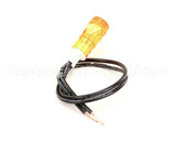 KE55486-5 Cleveland Light;Amber 125-250V Arcolectr