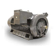 KG3008 Teco Medium Voltage Motor