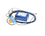 KITGAS-002 Firex Kit,Trasf, Cntr Gas P19 A P25