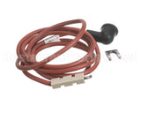 LH33EW058 Bryant Payne Ignition, Electronic