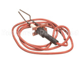 LH33WZ010 Bryant Payne Ignitor