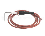 LH33WZ018 Bryant Payne Ignitor