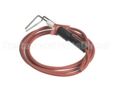 LH33WZ018 Bryant Payne Ignitor