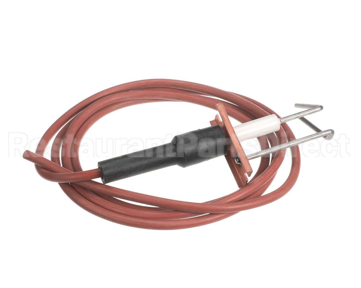 LH33WZ018 Bryant Payne Ignitor