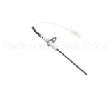 LH680013 Bryant Payne Flame Sensor
