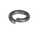 LW30S Biro Lock Washer 1/2 Ss