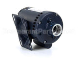 M0053 Bki Motor, Leeson Less Cord/Pump