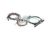 M237478 Moffat Harness