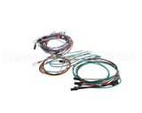 M237478 Moffat Harness