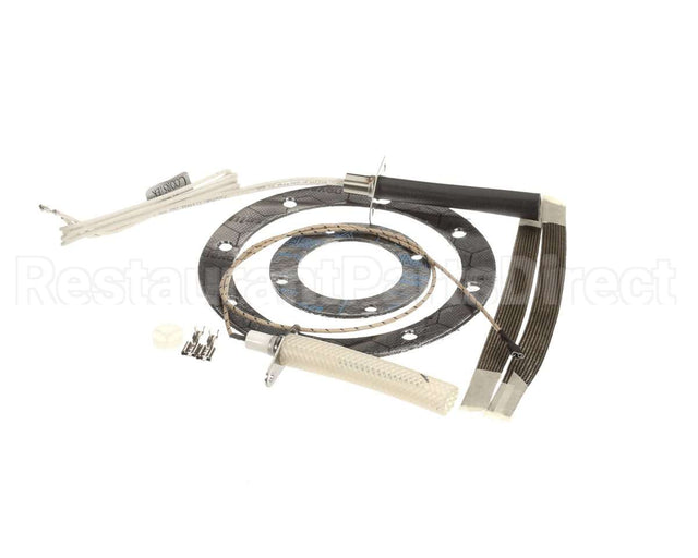 MM10037621 Henny Penny Ignitor Kit