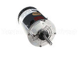 MOT06367 Trane Motor; 1 Hp 200-460/60/3, 3/4 Hp 400/50/