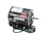 MOT16117 Trane Motor, Alternating Current