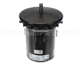 MOT19651 Trane Motor; Od 1Hp, 460V 60Hz; 380-415V 50Hz,