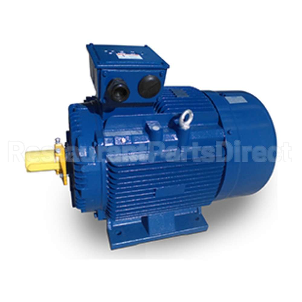 MP0402 Teco Motor