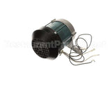 MS431 Globe Knife Motor