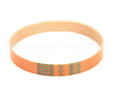 MS51 Globe Drive Belt