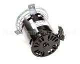 MTRRTH Food Warming Motor 230 Volt 50/60Hz