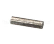 N00603 Globe Pin