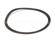 N64489 Capkold Gasket 6 Tri-Clamp